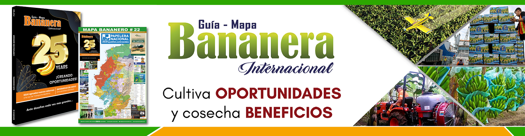 Revista Bananera, banano, corporacion markbar, agricultura 